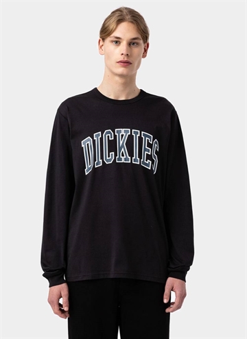 Dickies Aitkin T-Shirt L/S
